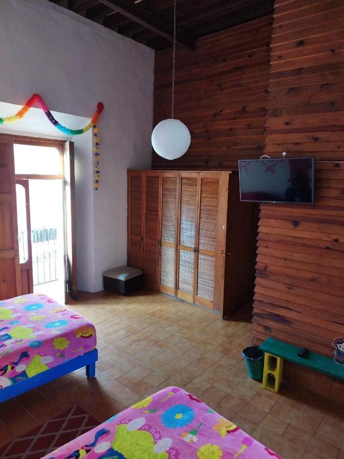 Lele Panchito Y Lavanda Juntos En El Centro 克雷塔罗 外观 照片