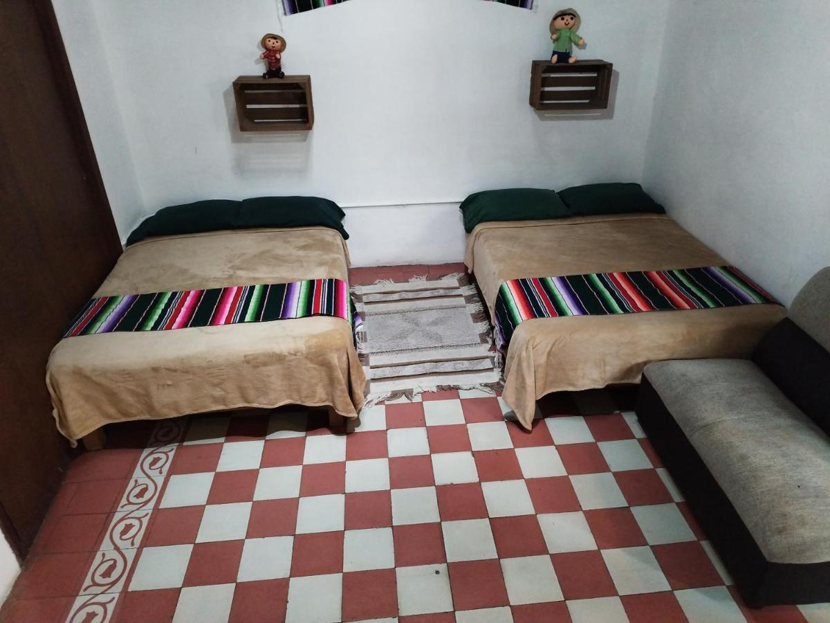 Lele Panchito Y Lavanda Juntos En El Centro 克雷塔罗 外观 照片