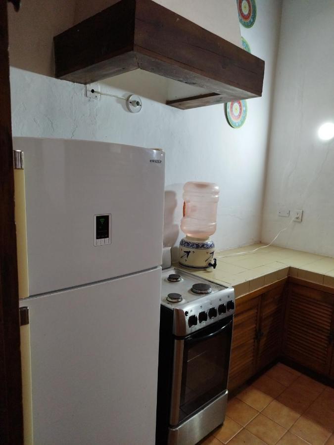 Lele Panchito Y Lavanda Juntos En El Centro 克雷塔罗 外观 照片