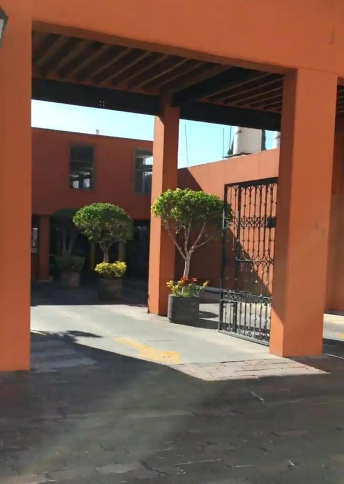 Lele Panchito Y Lavanda Juntos En El Centro 克雷塔罗 外观 照片