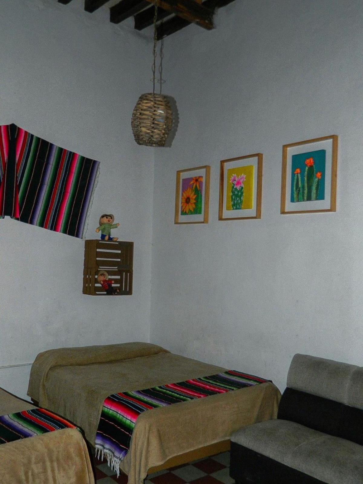 Lele Panchito Y Lavanda Juntos En El Centro 克雷塔罗 外观 照片
